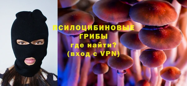 бошки Абинск