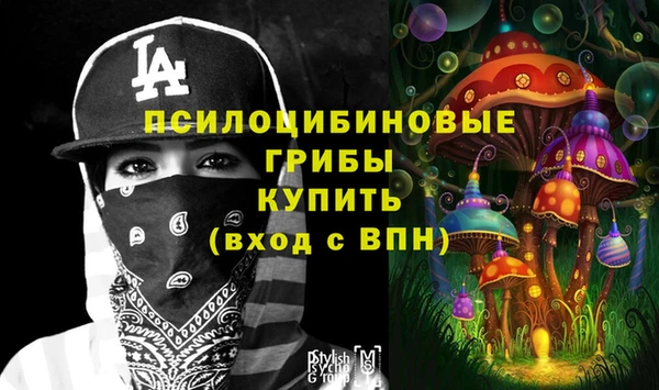 бошки Абинск