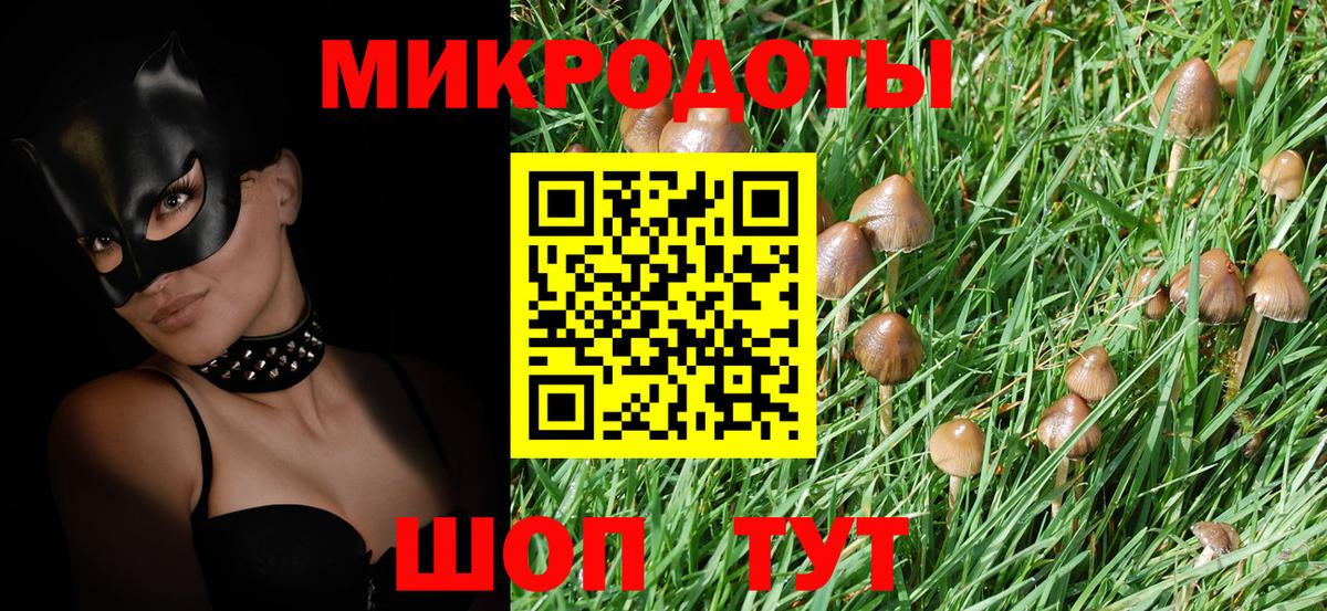 Галлюциногенные грибы Cubensis  Вход с VPN  даркнет сайт  Псилоцибиновые грибы Psilocybine cubensis  Таганрог 