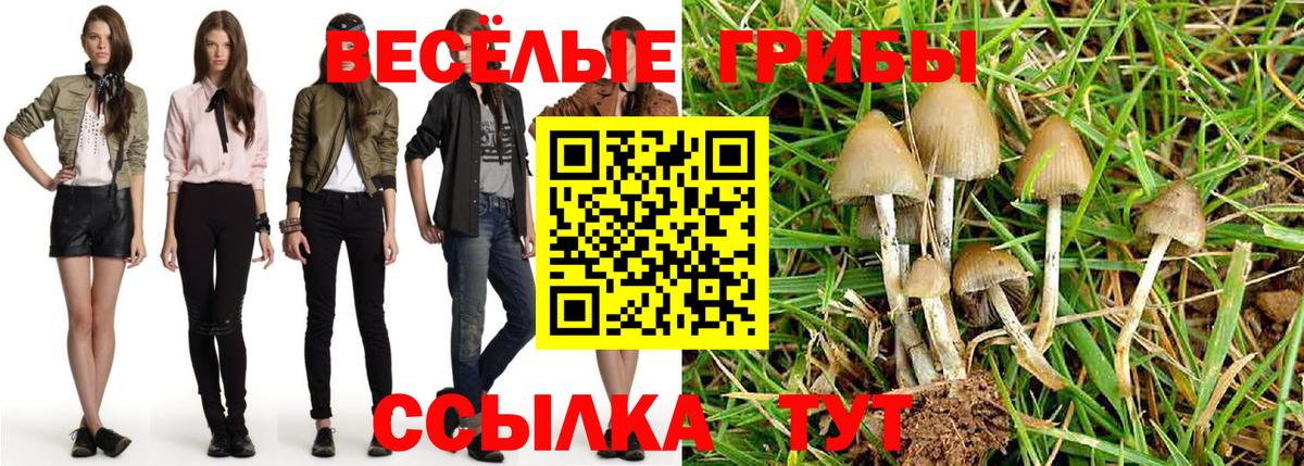 Галлюциногенные грибы мицелий Таганрог